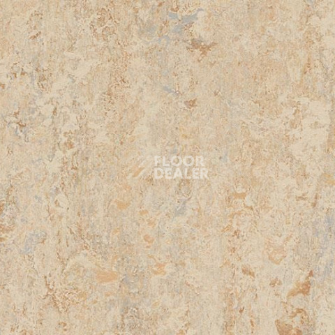 Линолеум Forbo Marmoleum Marbled Authentic 3038 Caribbean фото 1 | FLOORDEALER
